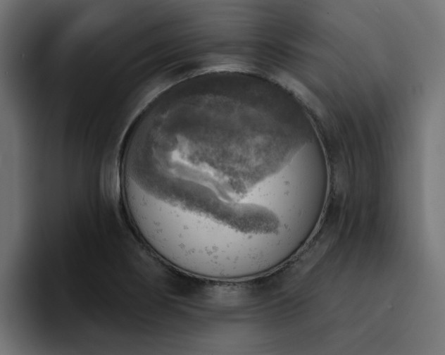 X0000094461274200711081318