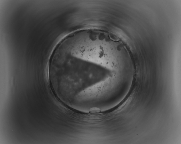 X0000094461275200711081318