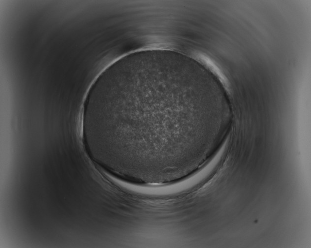 X0000094461276200711081318