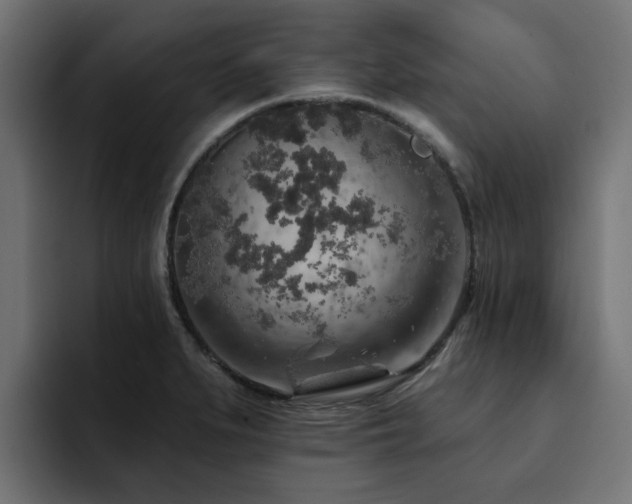 X0000094461279200711081318