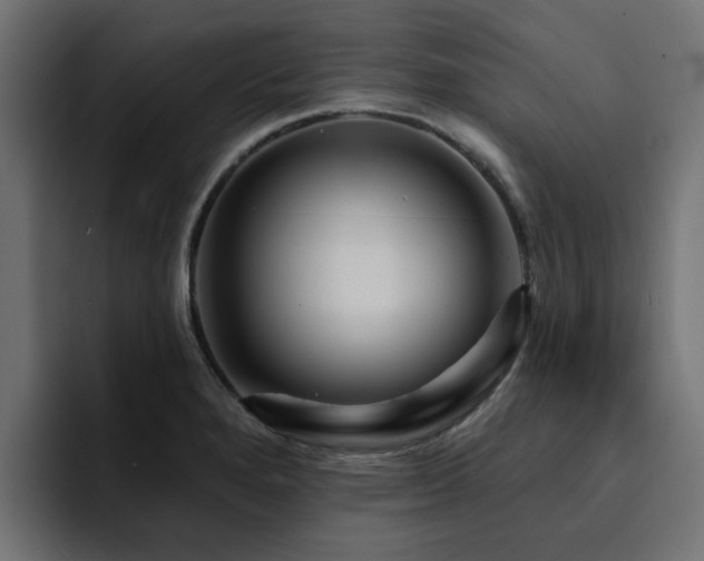 X0000094461280200711081318