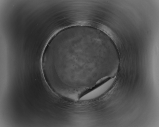 X0000094461283200711081318