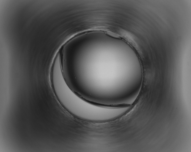 X0000094461284200711081318