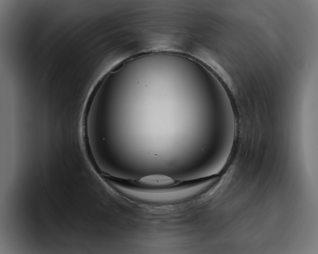 X0000094461285200711081318