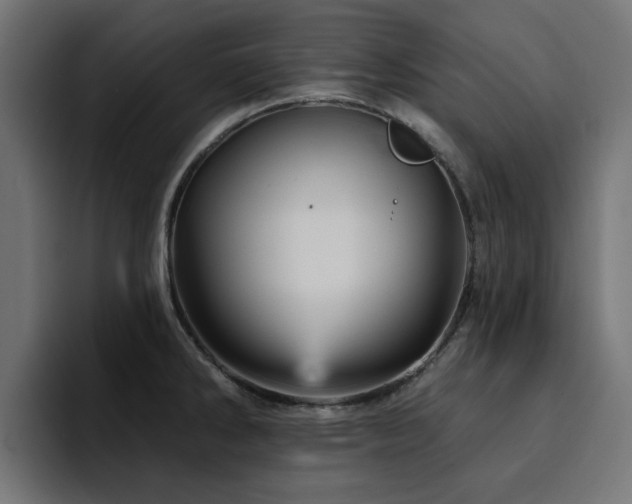 X0000094461286200711081318