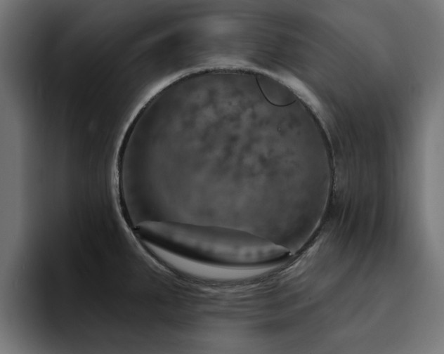 X0000094461287200711081318