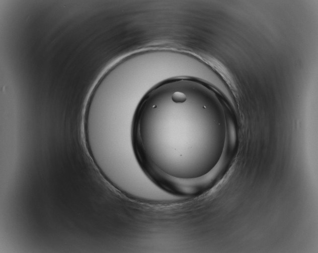X0000094461288200711081318