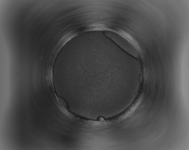 X0000094461289200711081318