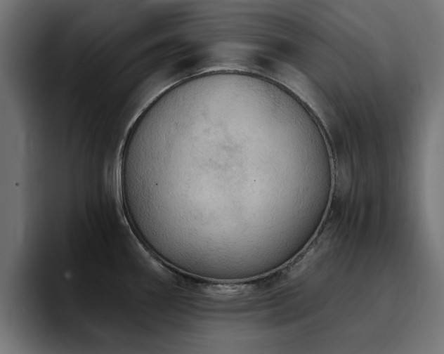 X0000094461290200711081318