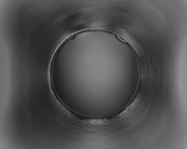 X0000094461291200711081318