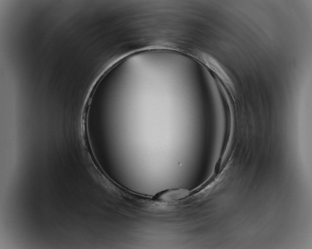 X0000094461292200711081318