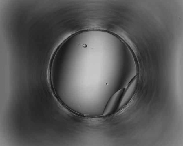 X0000094461293200711081318