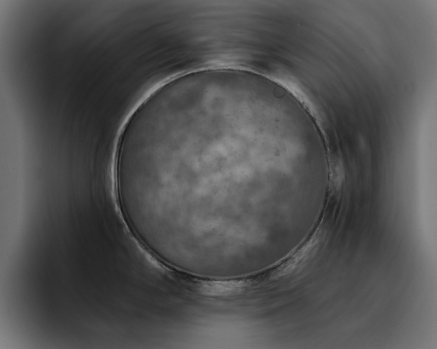 X0000094461294200711081318