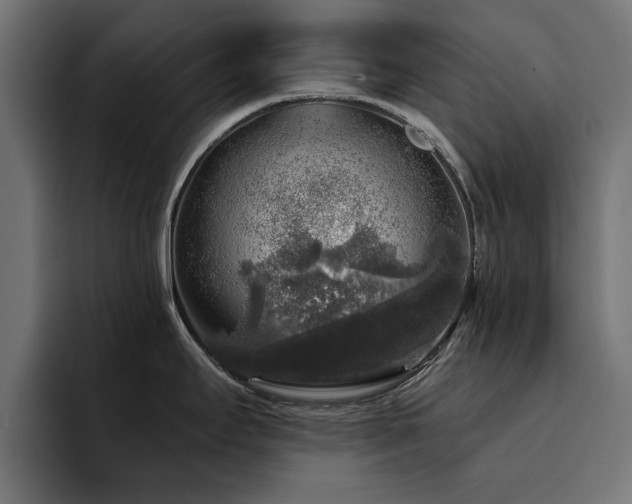 X0000094461295200711081318