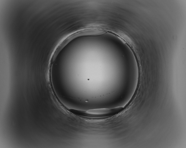 X0000094461296200711081318