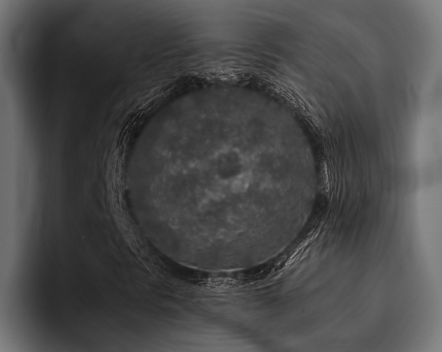 X0000094461297200711081317