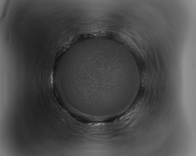 X0000094461298200711081317