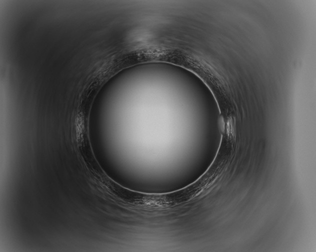 X0000094461299200711081317