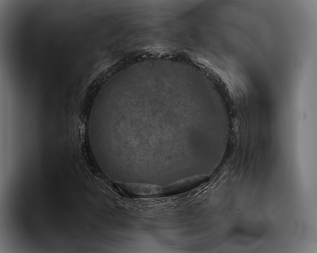 X0000094461302200711081317