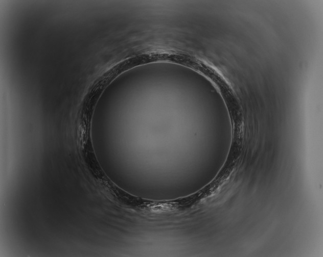 X0000094461303200711081317