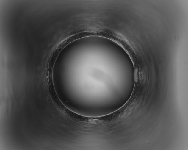 X0000094461304200711081317