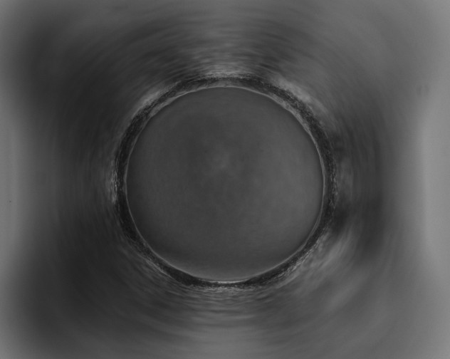 X0000094461306200711081317