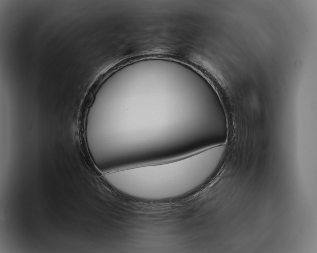X0000094461308200711081317