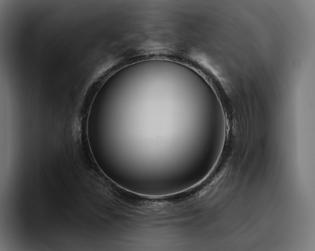 X0000094461309200711081317