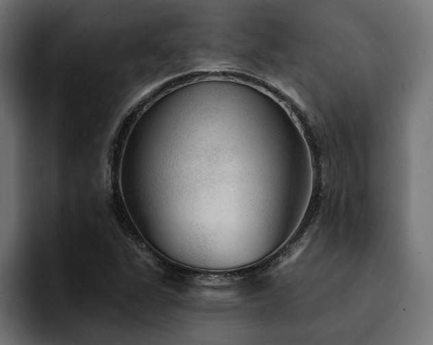 X0000094461311200711081317