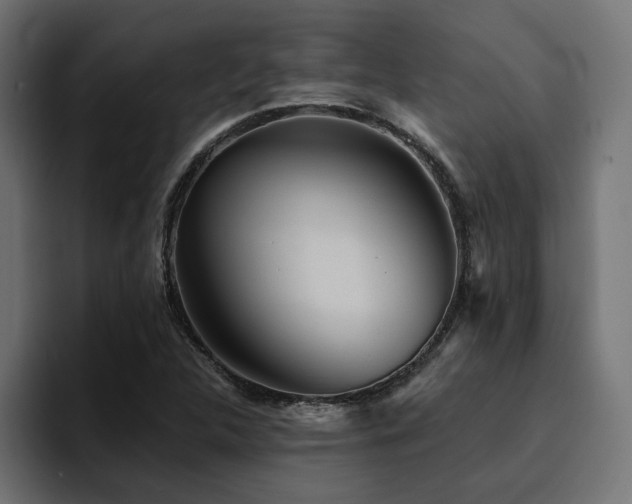 X0000094461312200711081317