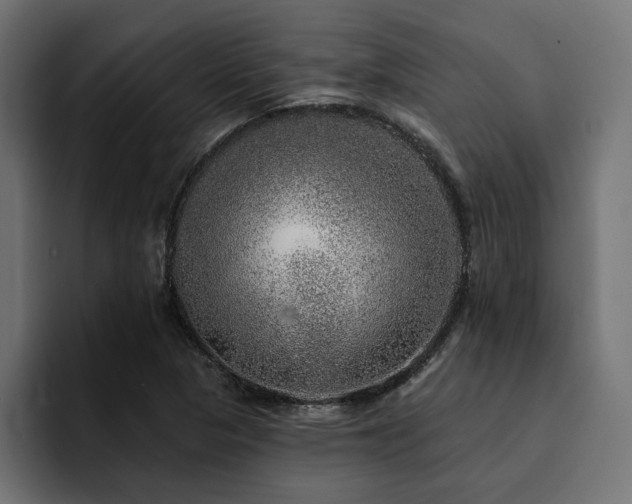 X0000094461313200711081317