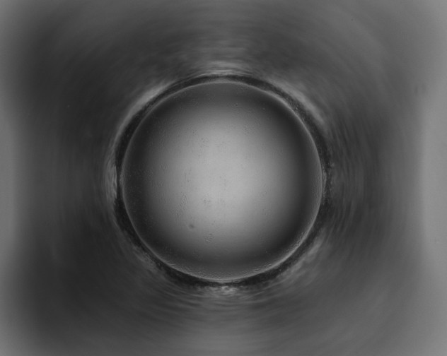 X0000094461317200711081317