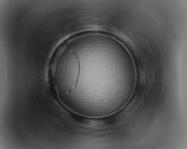 X0000094461318200711081317