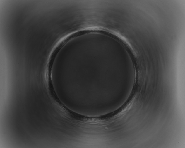 X0000094461319200711081317