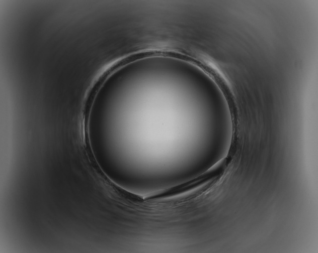 X0000094461320200711081317
