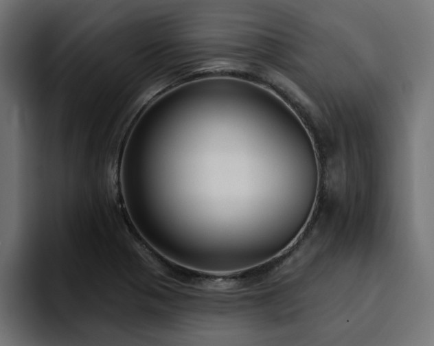 X0000094461321200711081317