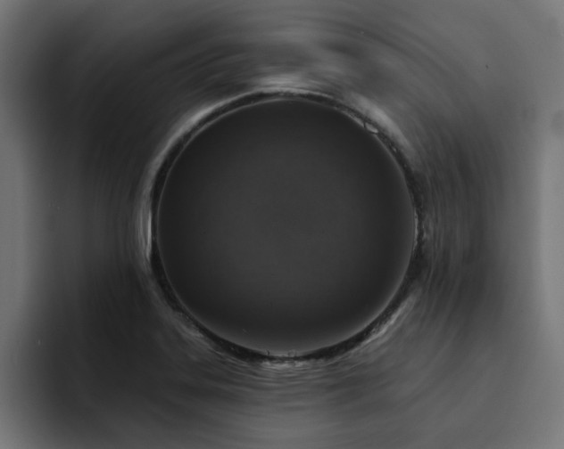 X0000094461323200711081317