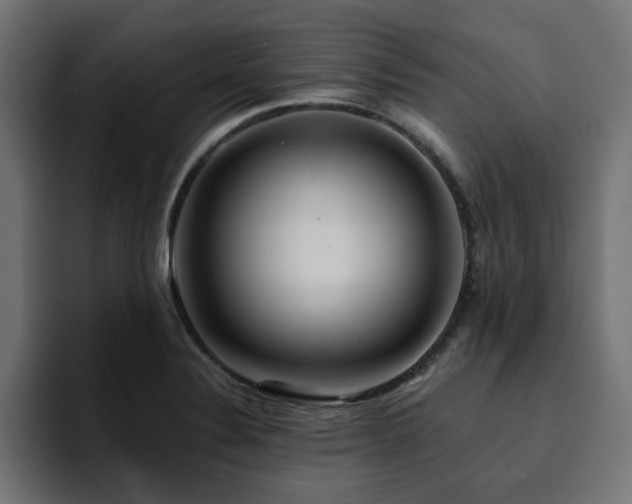 X0000094461324200711081317