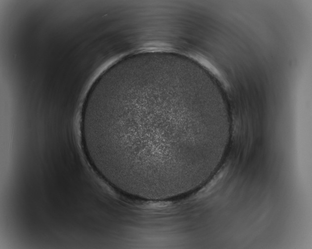 X0000094461325200711081317