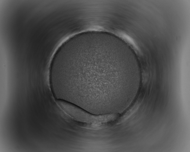 X0000094461326200711081317