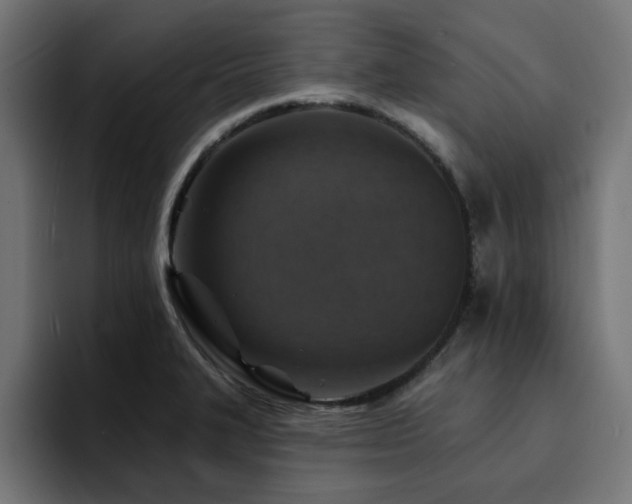 X0000094461327200711081317