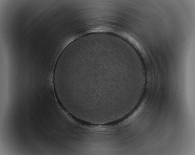 X0000094461329200711081317