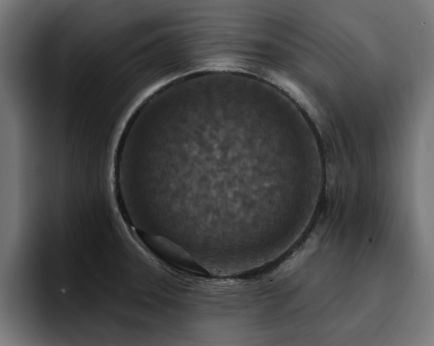 X0000094461331200711081317