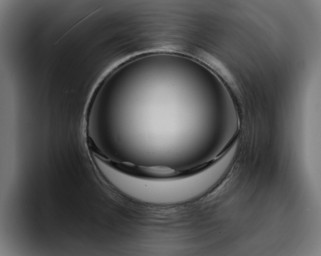 X0000094461332200711081317