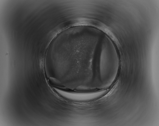 X0000094461337200711081317