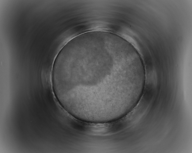 X0000094461338200711081317