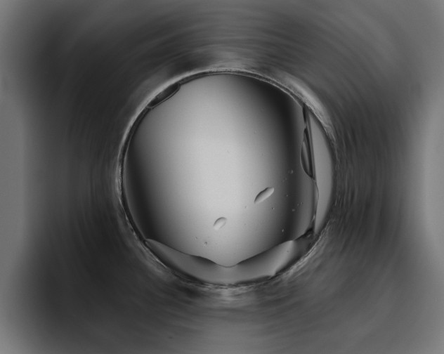 X0000094461340200711081318