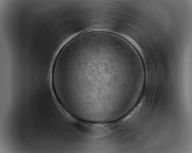 X0000094461341200711081318
