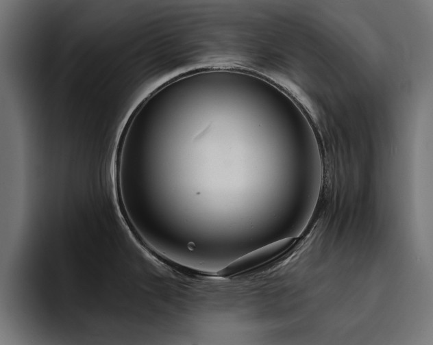 X0000094461343200711081318