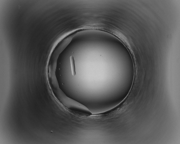 X0000094461344200711081318
